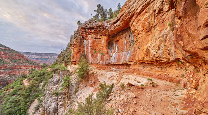 North Kaibab Trail, Grand Canyon National Park ©Tony Gale