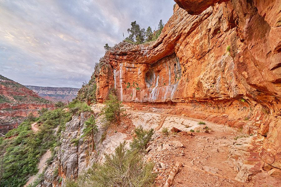 North Kaibab Trail, Grand Canyon National Park ©Tony Gale